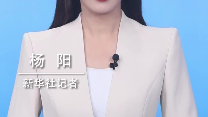 构建数据治理基石：案例库使用指南详解**